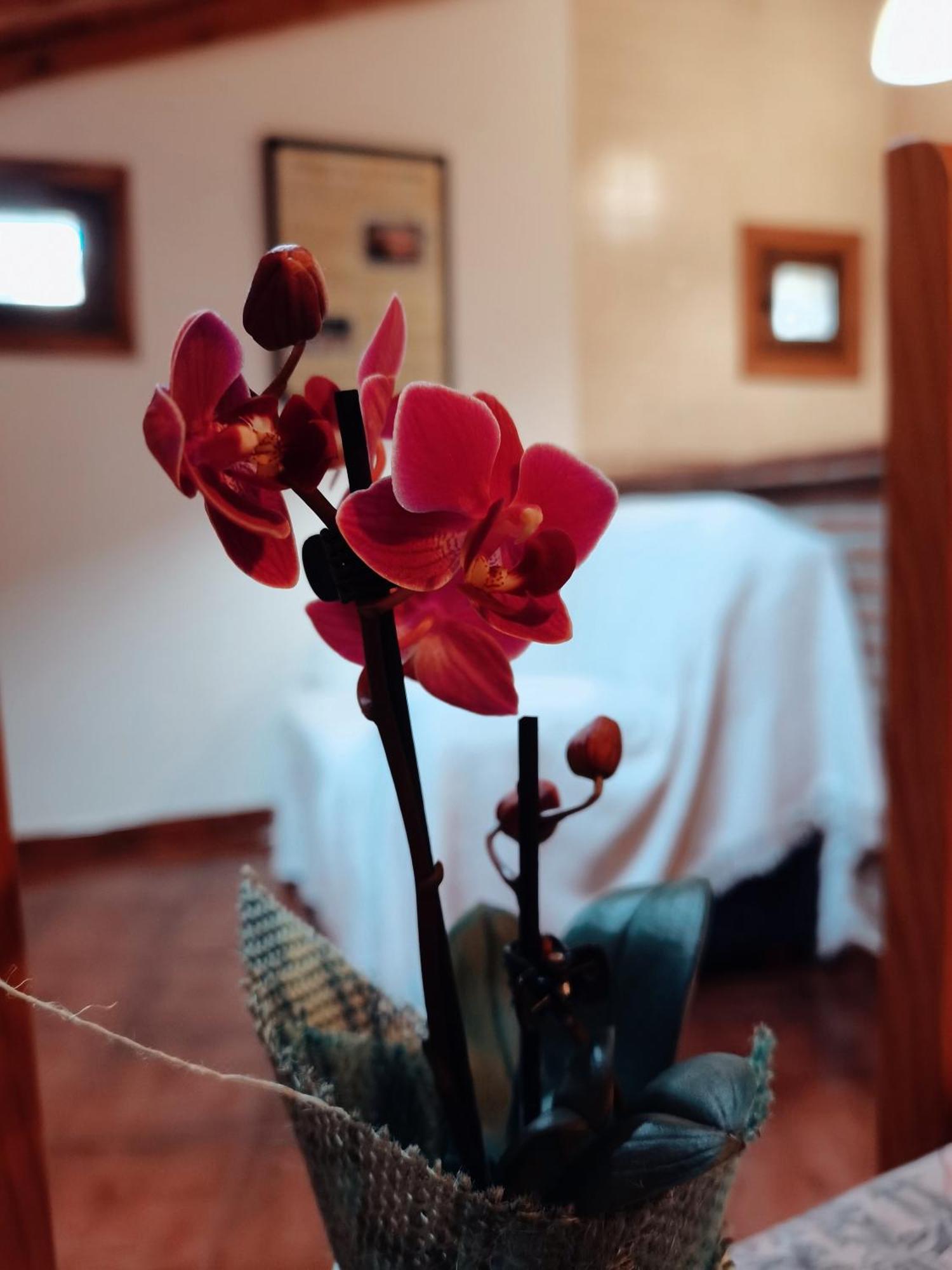 Casa Rural Parada Real Garganta la Olla Exteriér fotografie